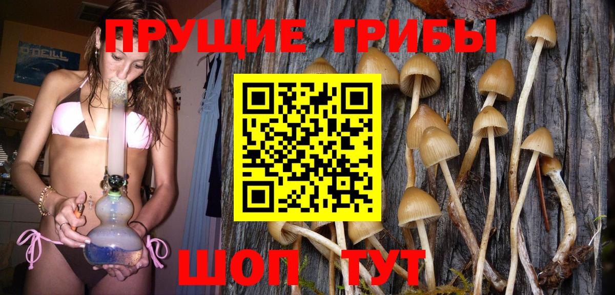 Галлюциногенные грибы Psilocybe  Вход с VPN  Кашира  Галлюциногенные грибы мухоморы 