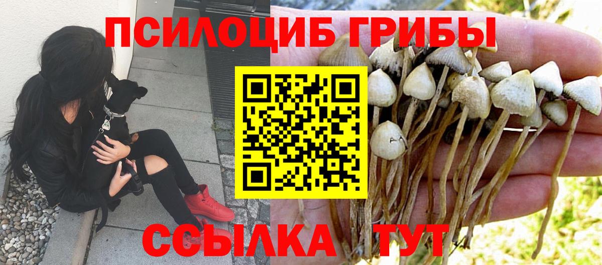 Псилоцибиновые грибы мухоморы Кашира